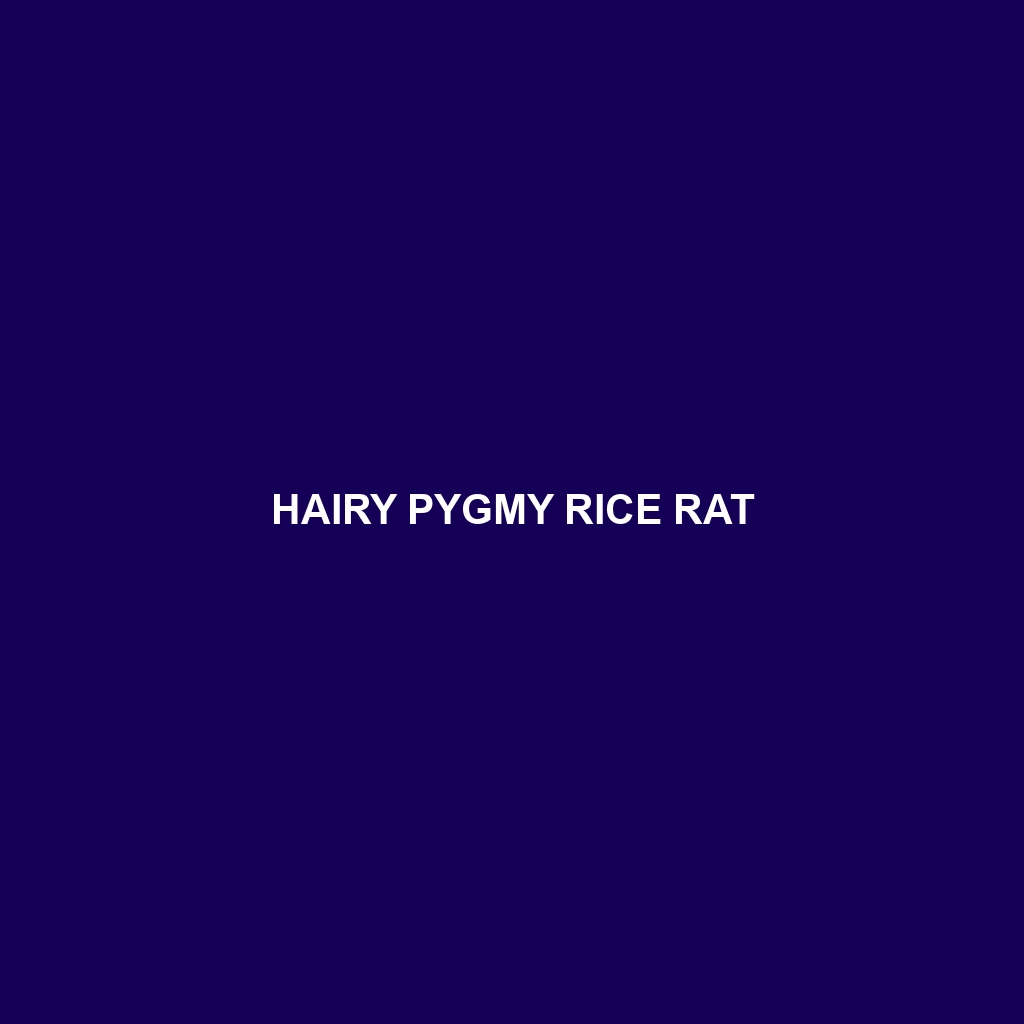 Hairy Pygmy Rice Rat