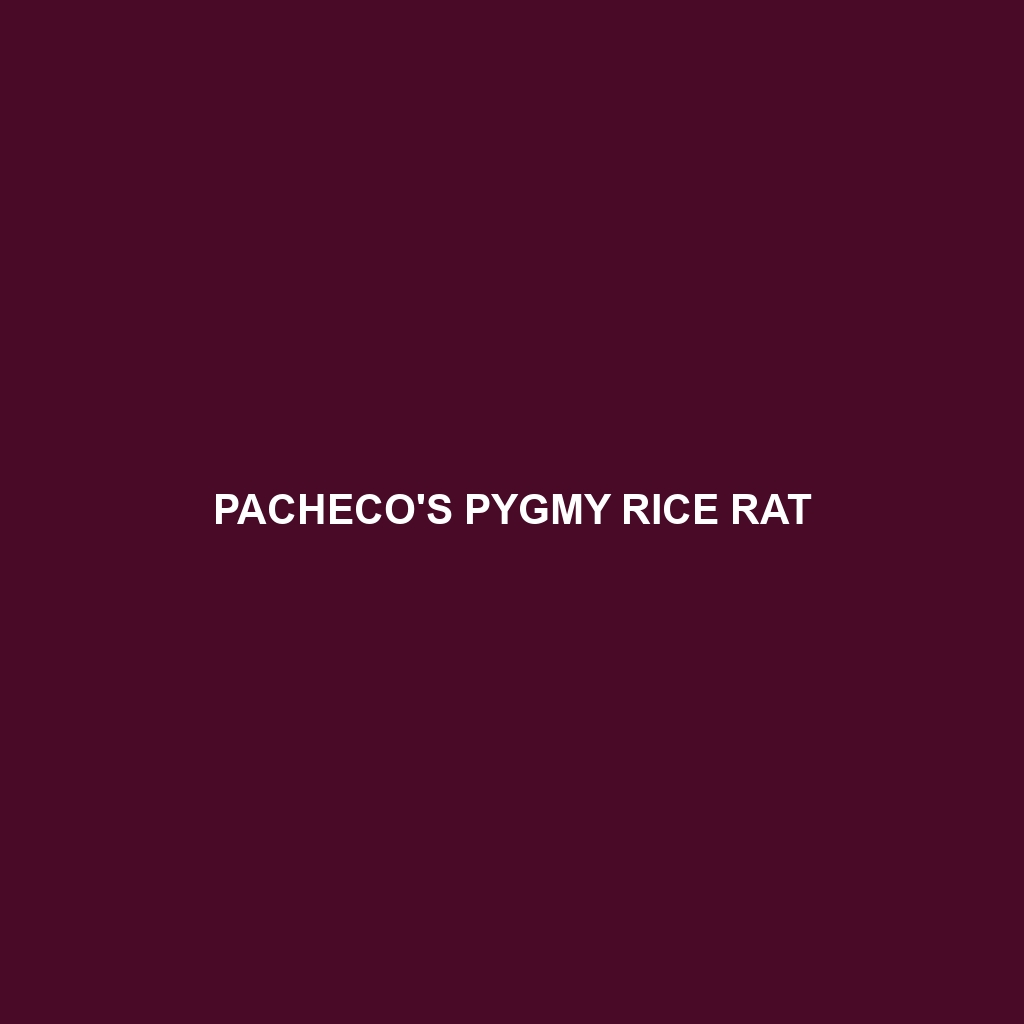 Pacheco's Pygmy Rice Rat