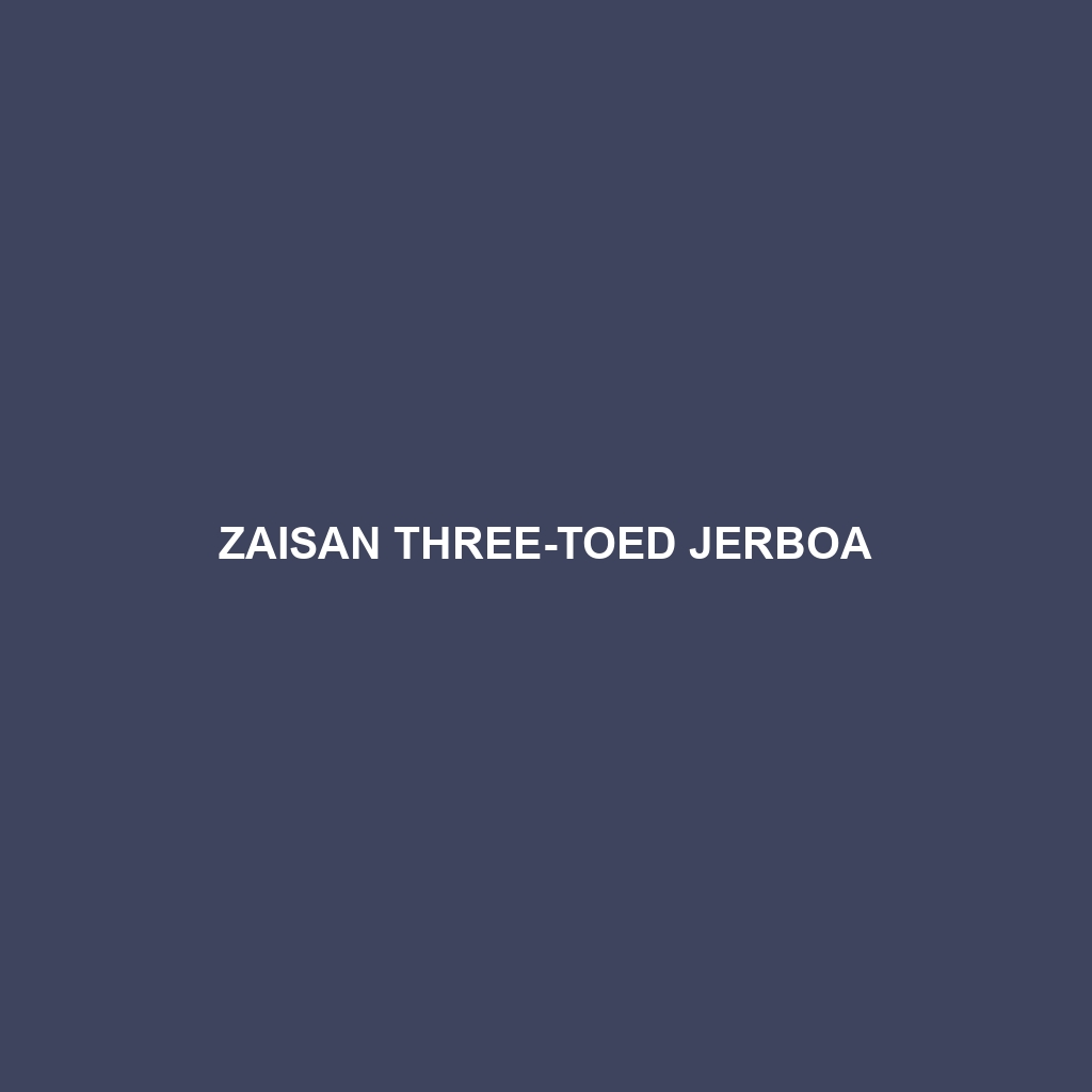 Zaisan Three-toed Jerboa