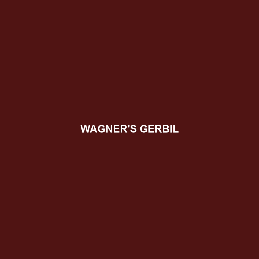 Wagner's Gerbil