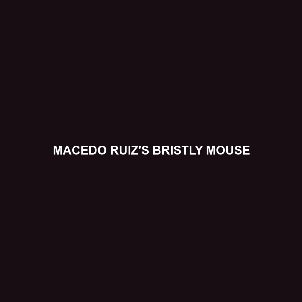 Macedo Ruiz's Bristly Mouse