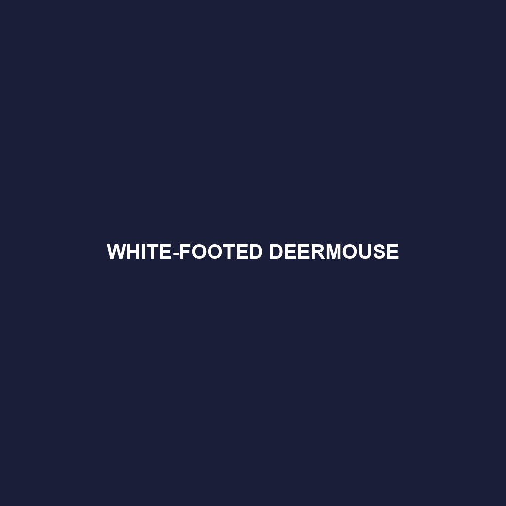 White-footed Deermouse