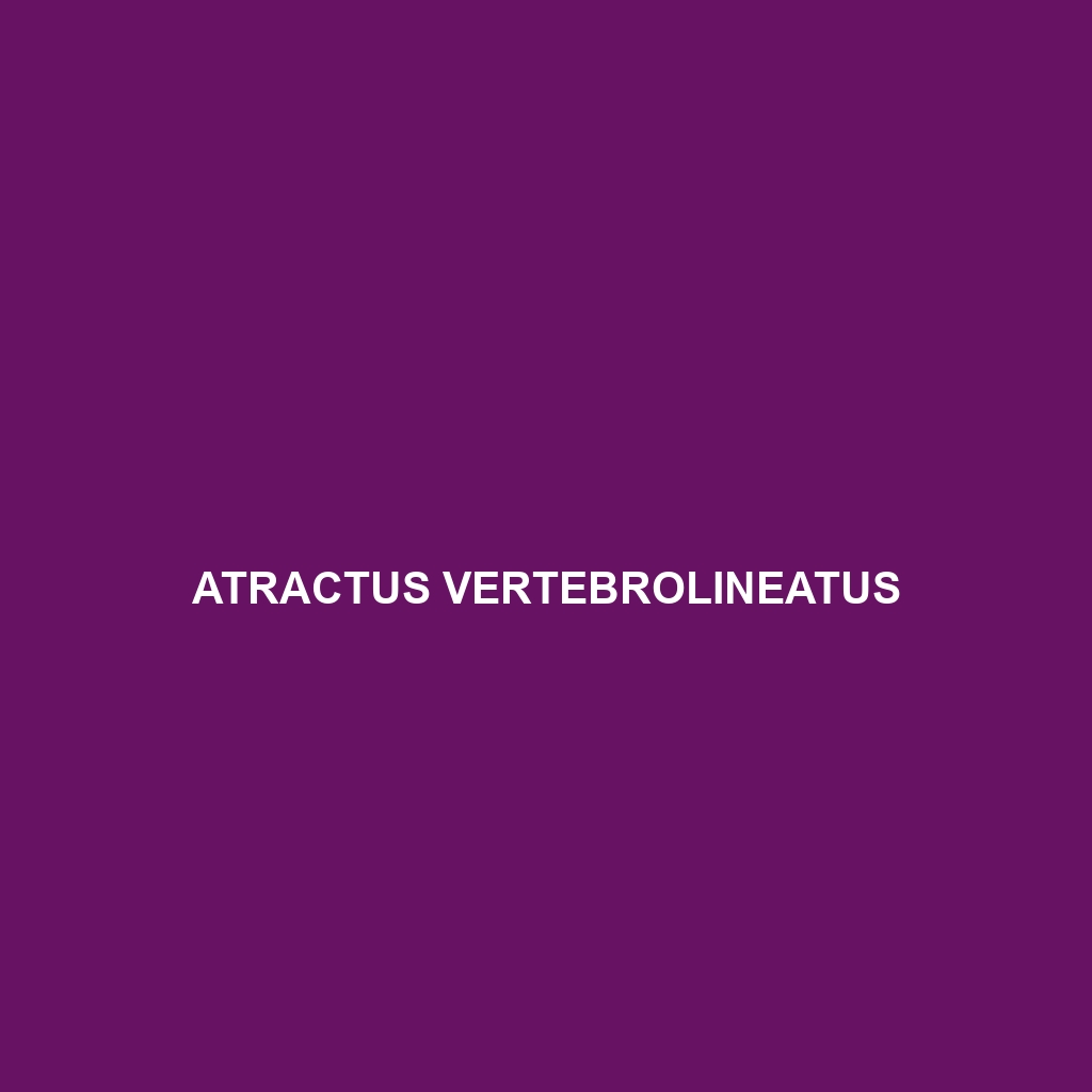 Atractus vertebralis