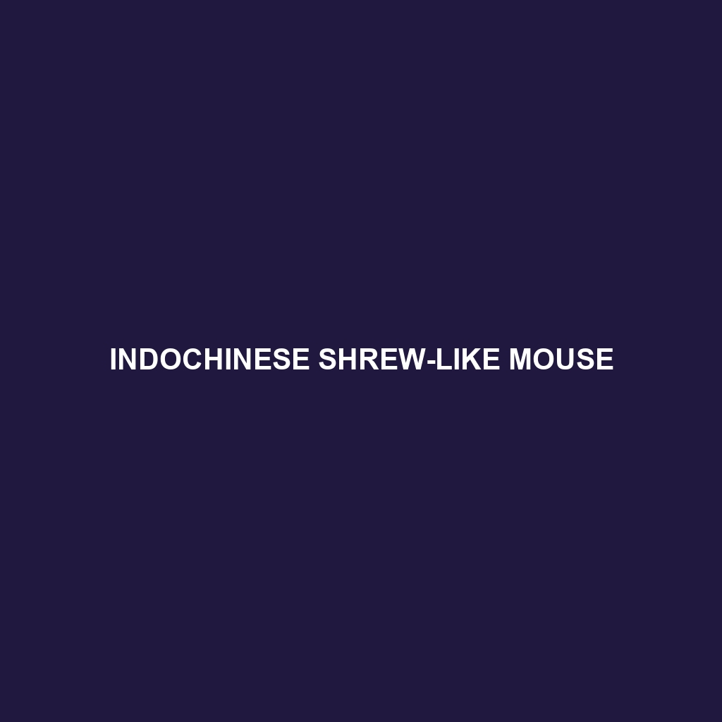 Indochinese Shrew-like Mouse