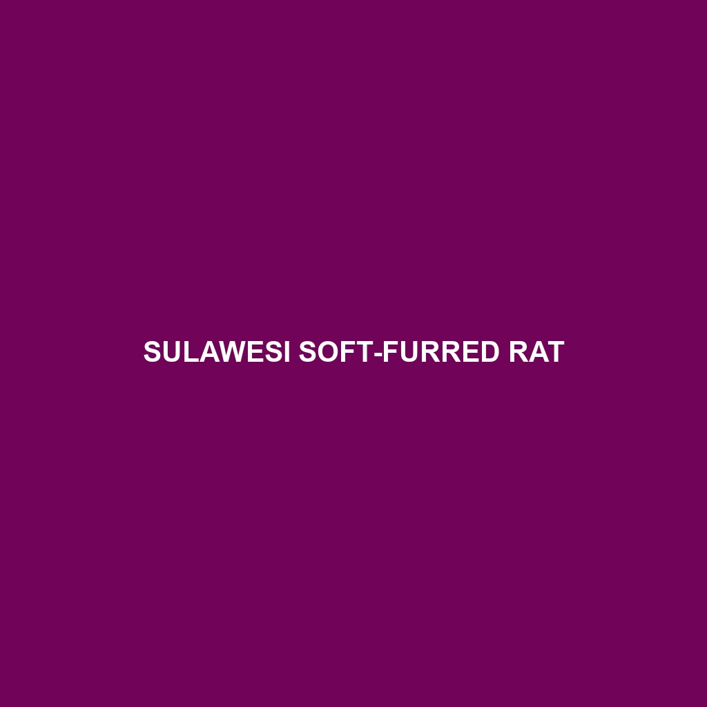 Sulawesi Soft-furred Rat