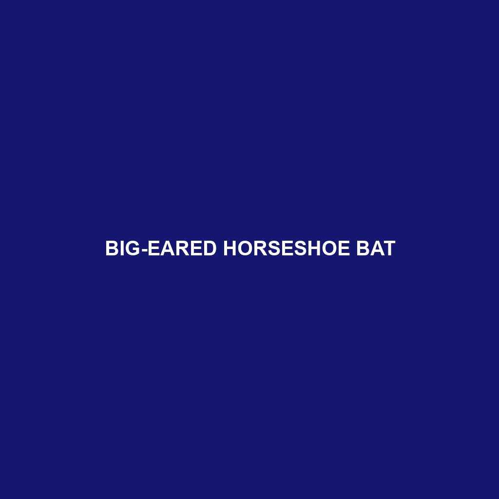 Big-eared Horseshoe Bat