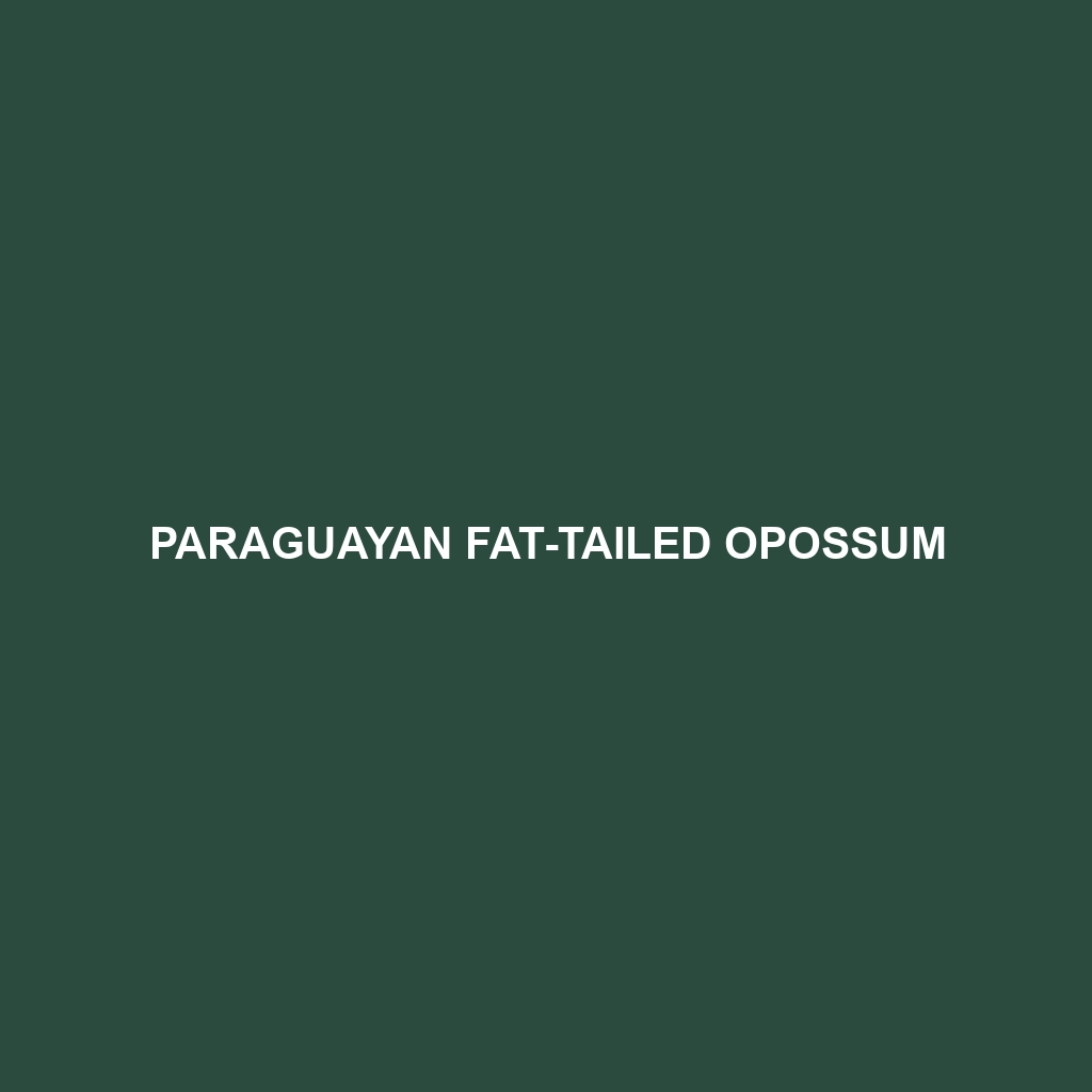 Pallid Fat-tailed Opossum