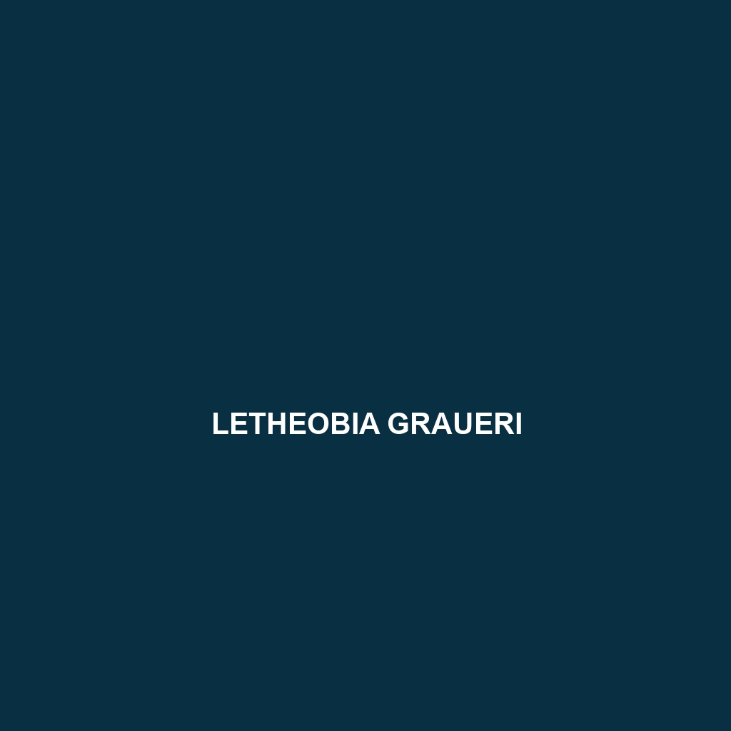 Letheobia graueri