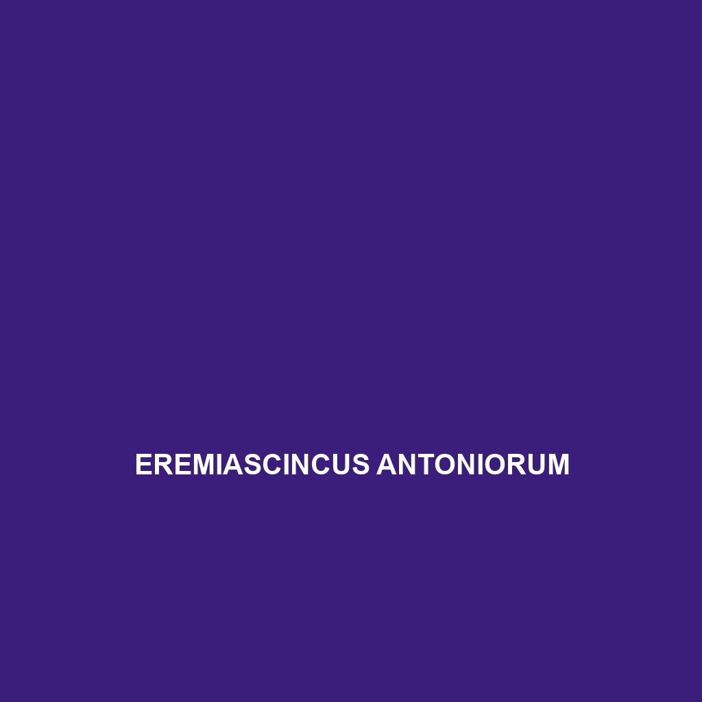 Eremiascincus antoniorum