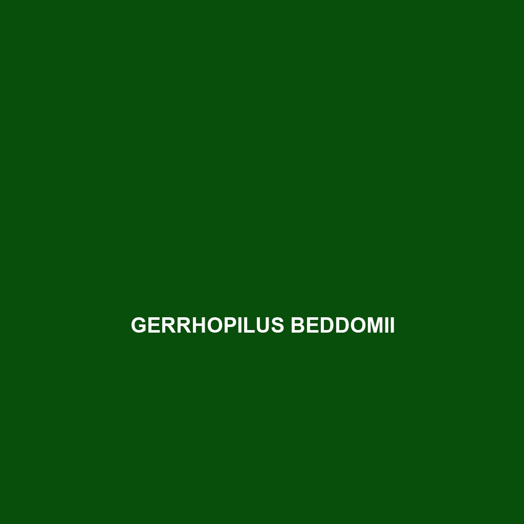 Gerrhopilus beddomii