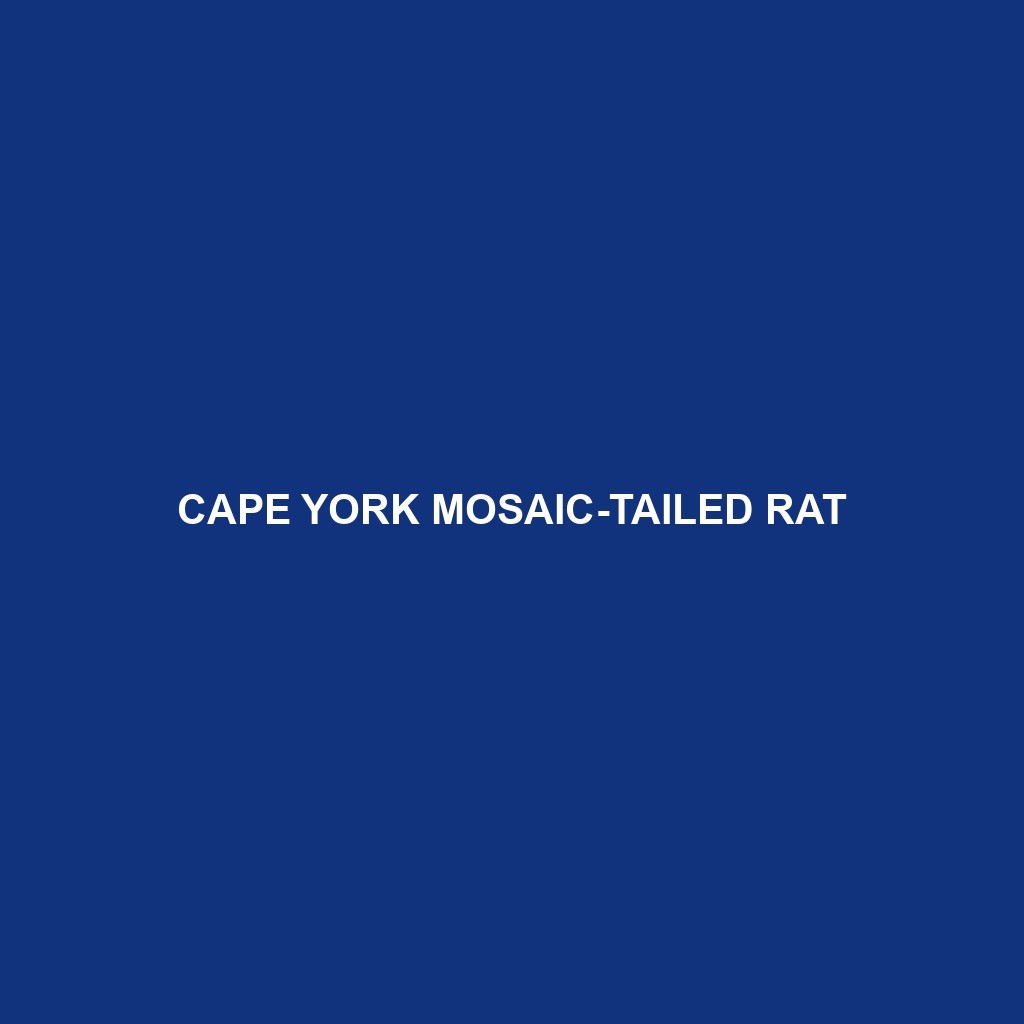 Cape York Mosaic-tailed Rat