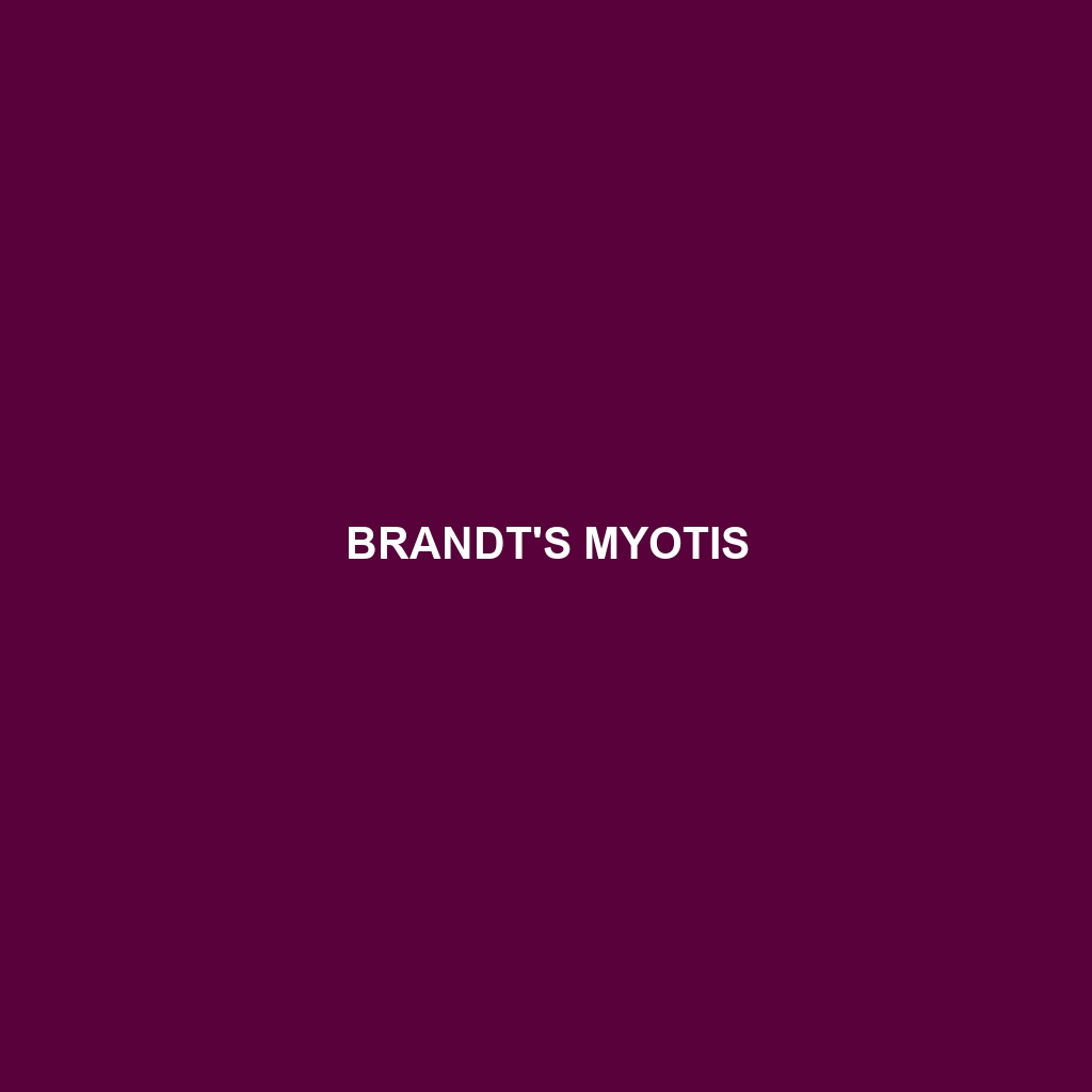 Brandt's Myotis