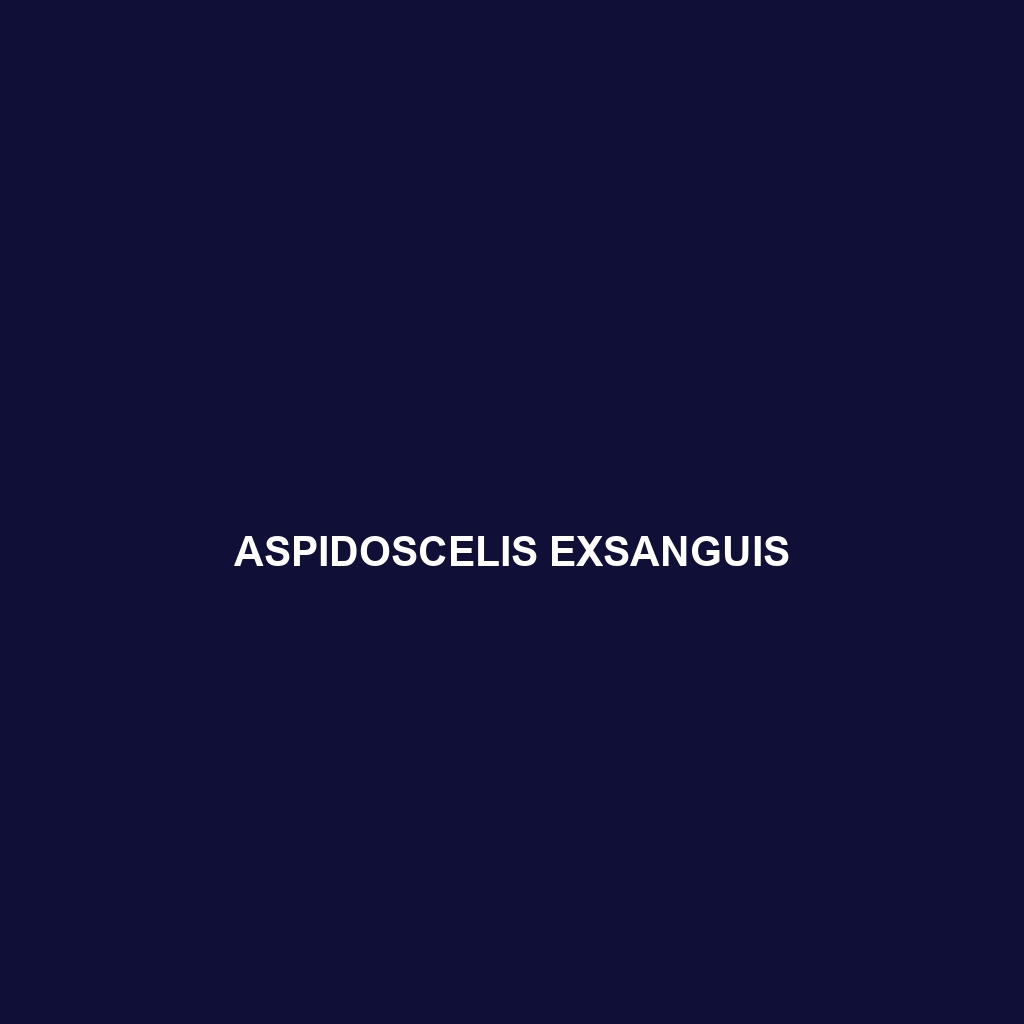 Aspidoscelis exsanguis