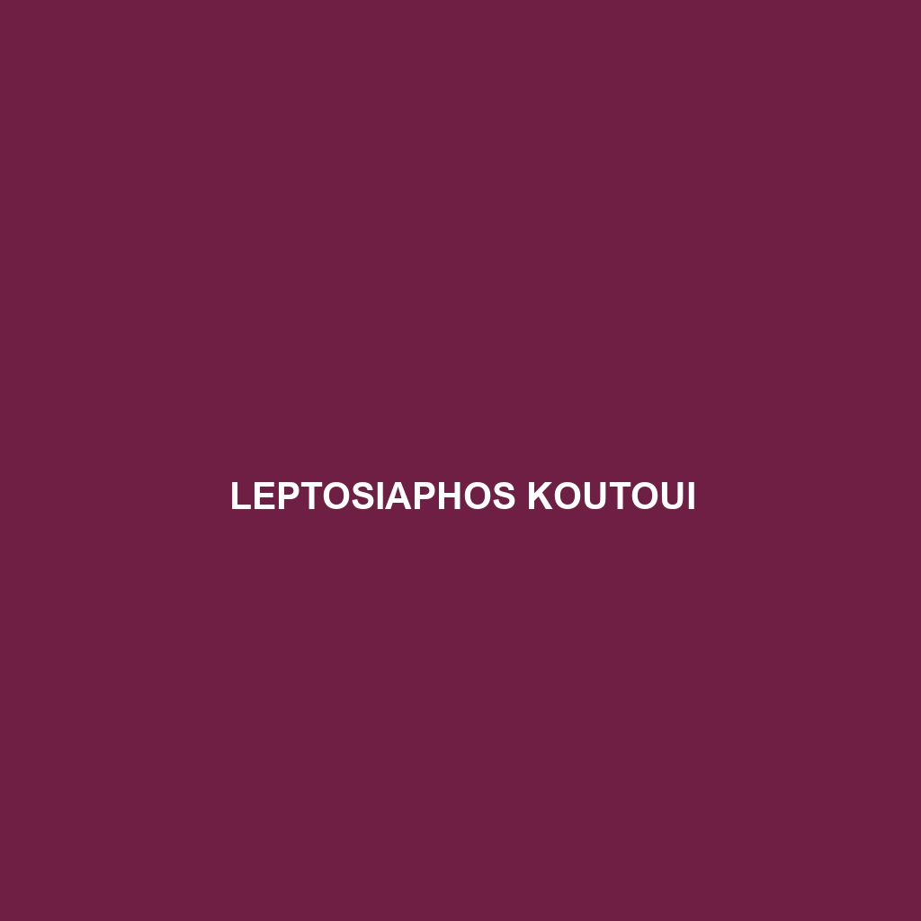 Leptosiaphos koutoui