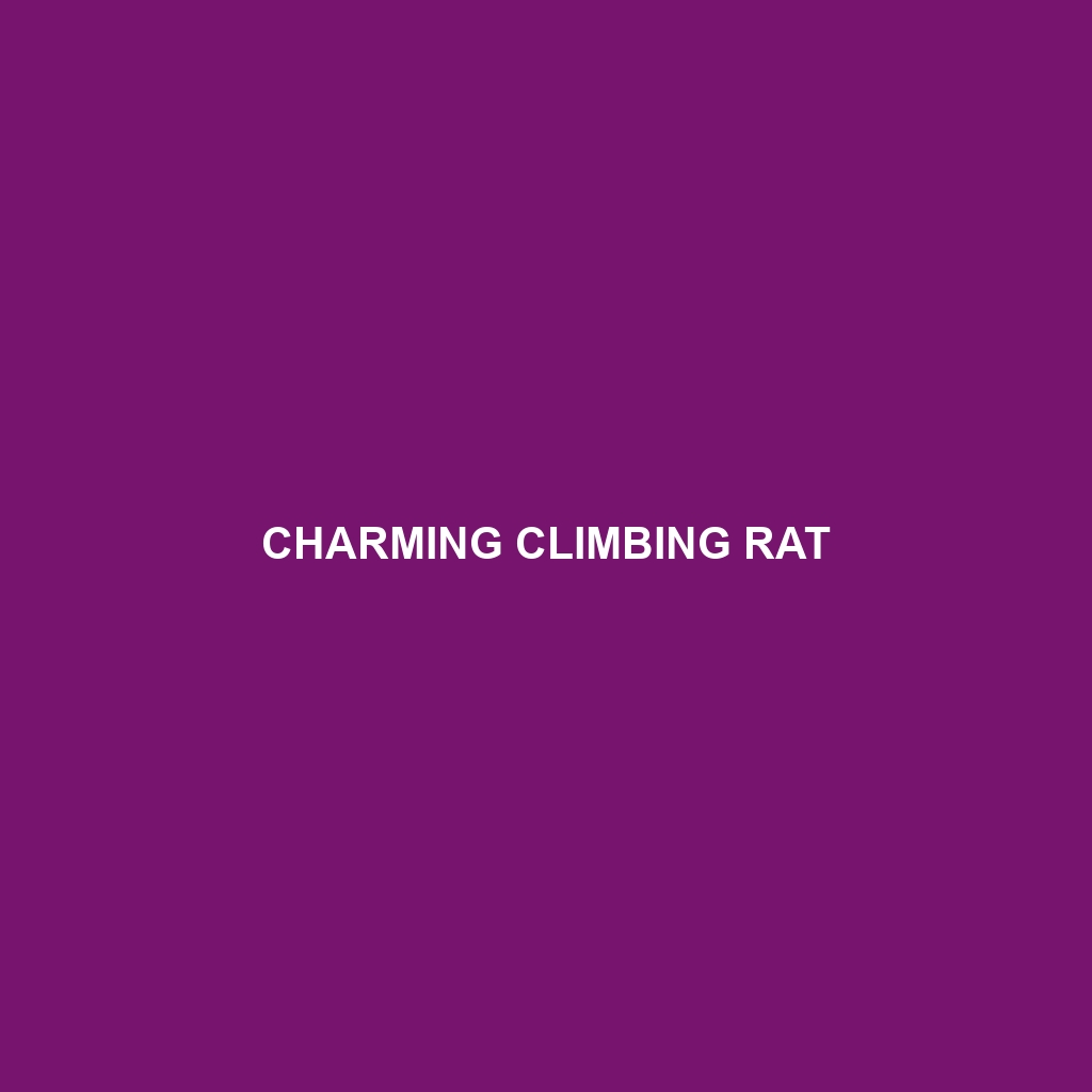 Charming Climbing Rat