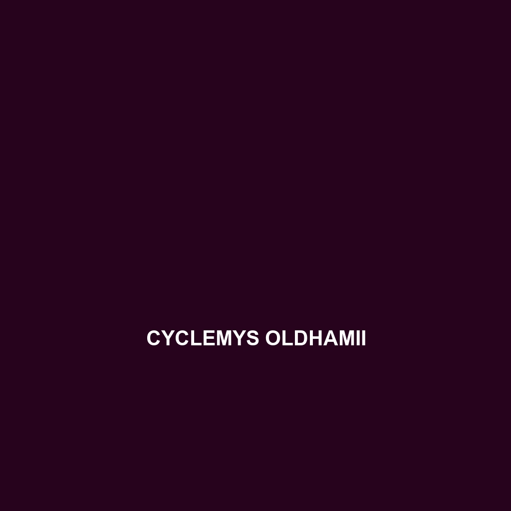 Cyclemys oldhamii