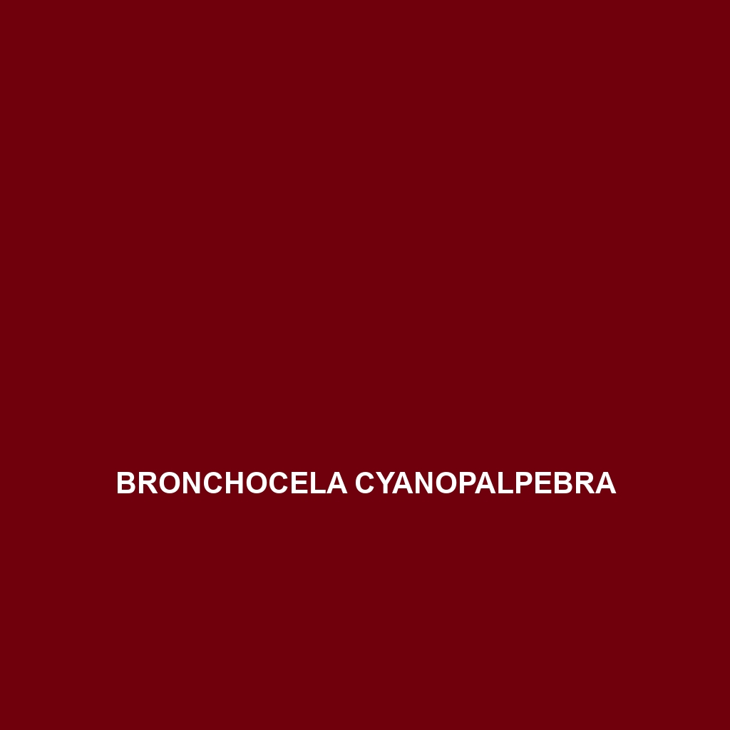 Bronchocela cyanopalpebra