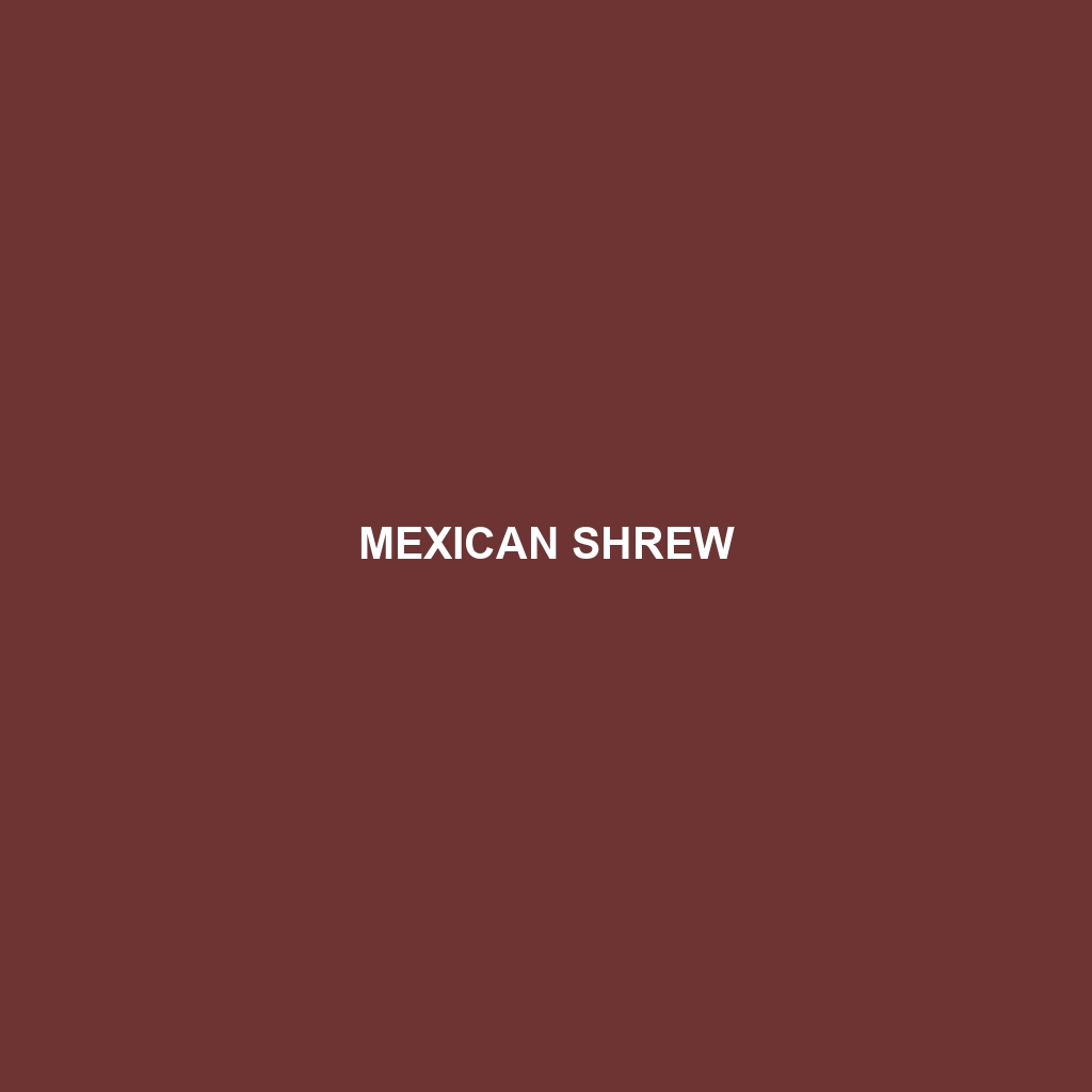 Mexican Shrew