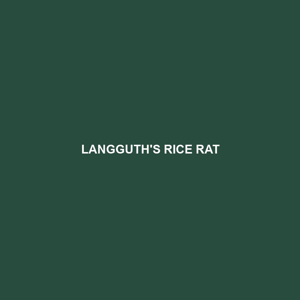 Lesser Antillean Rice Rat