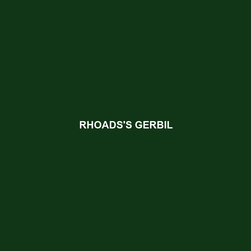 Rhoads's Gerbil