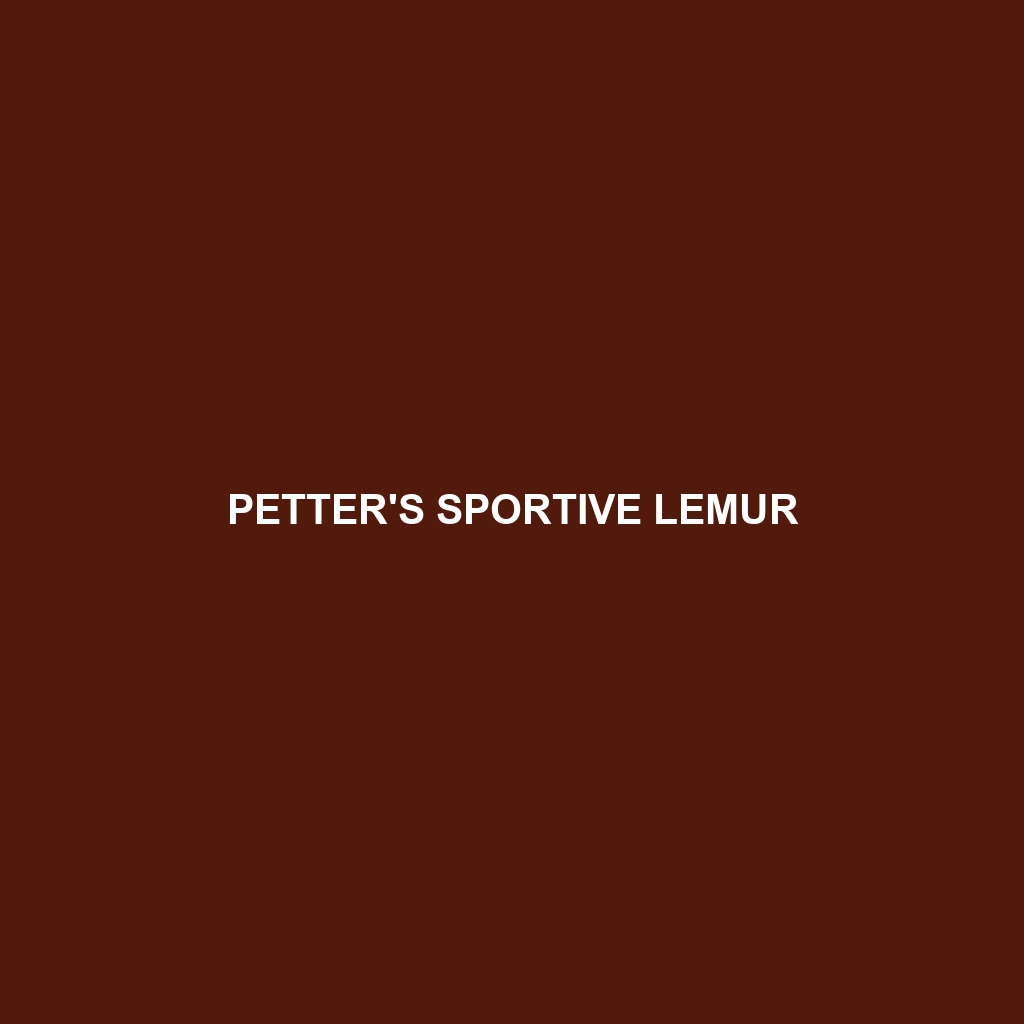 Petter's Sportive Lemur