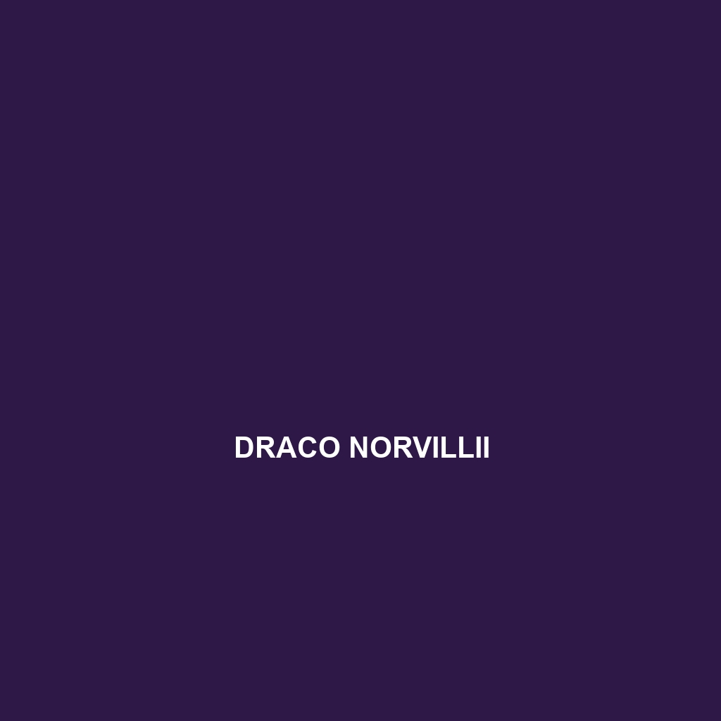 Draco norvillii