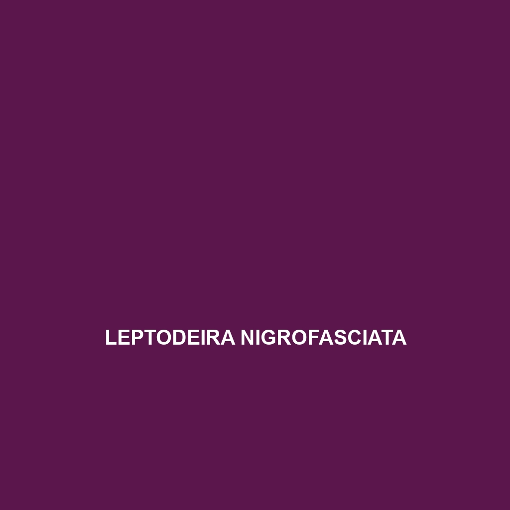 Leptodeira nigrofasciata