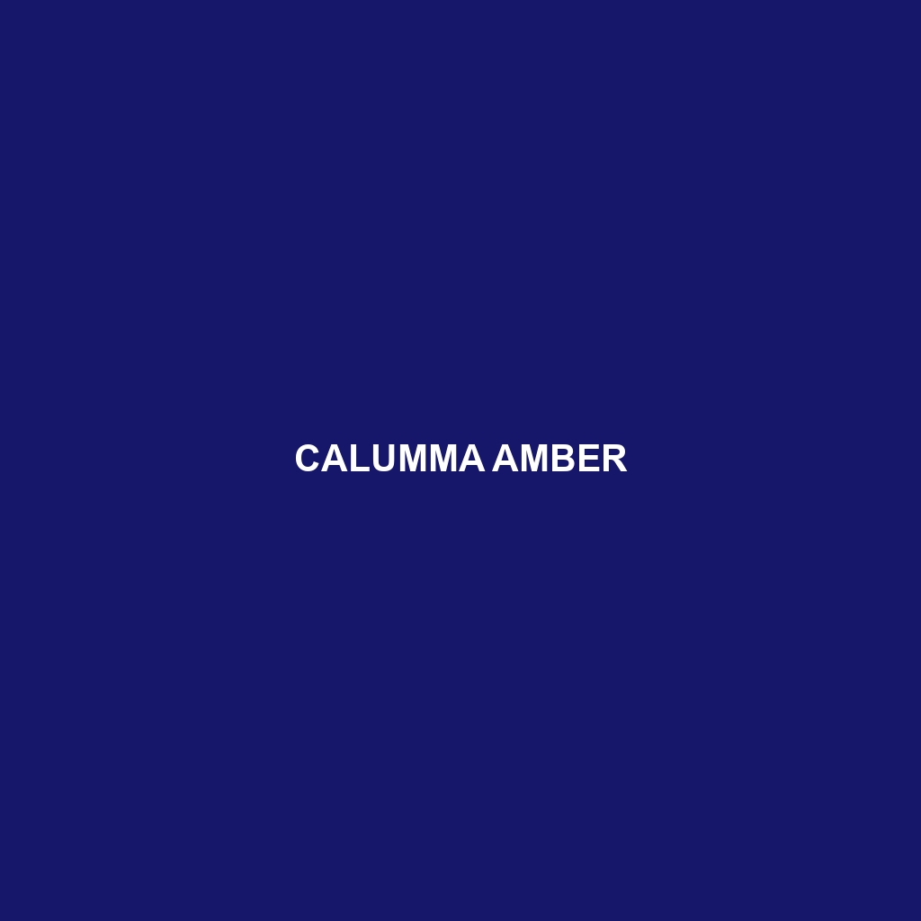 Calumma amber