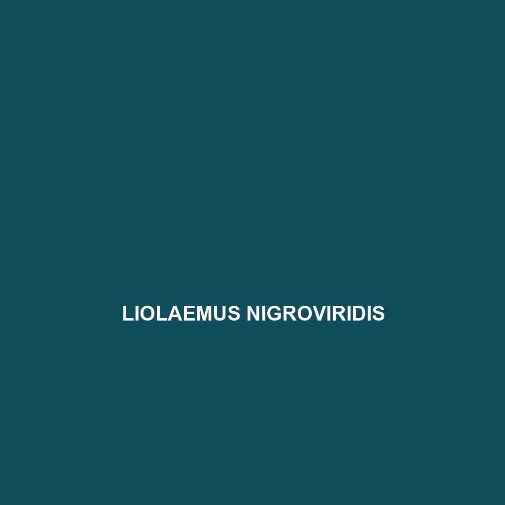 Liolaemus nigromaculatus