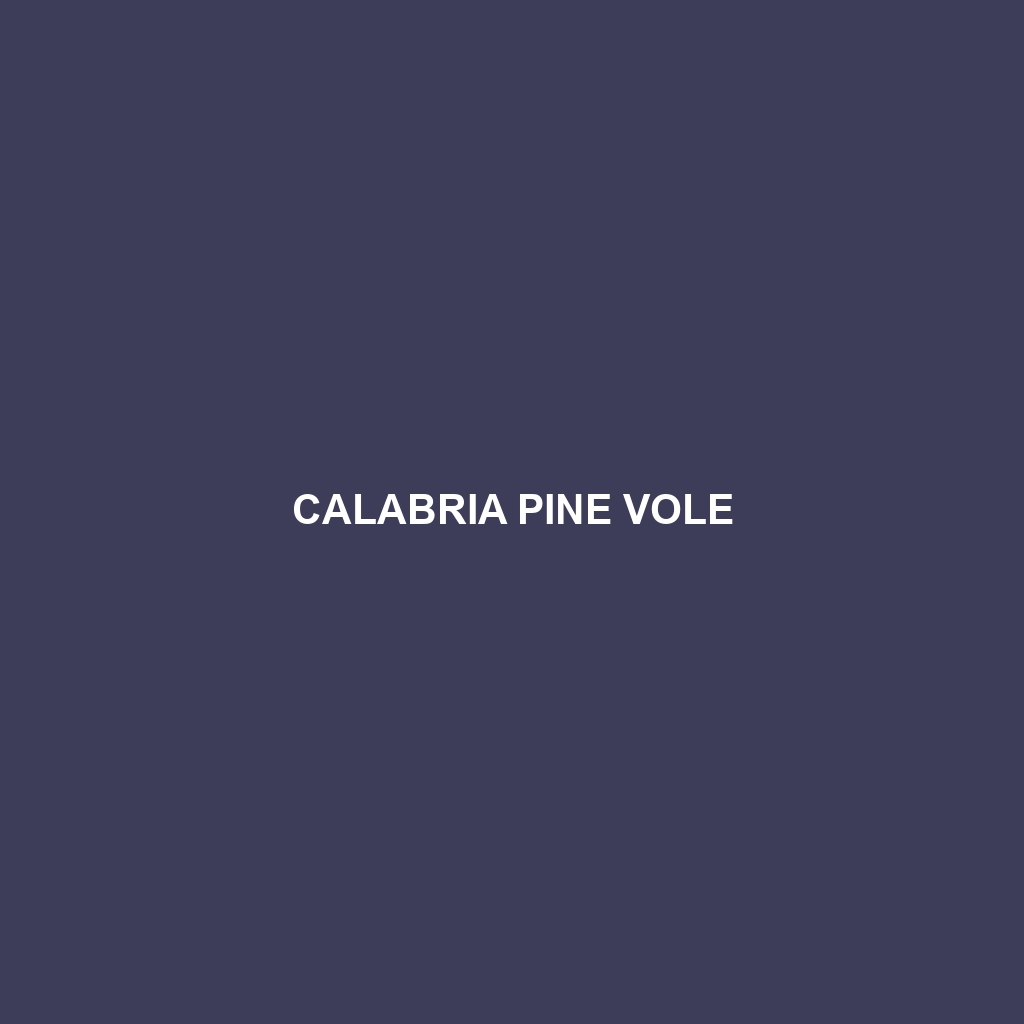 Calabria Pine Vole