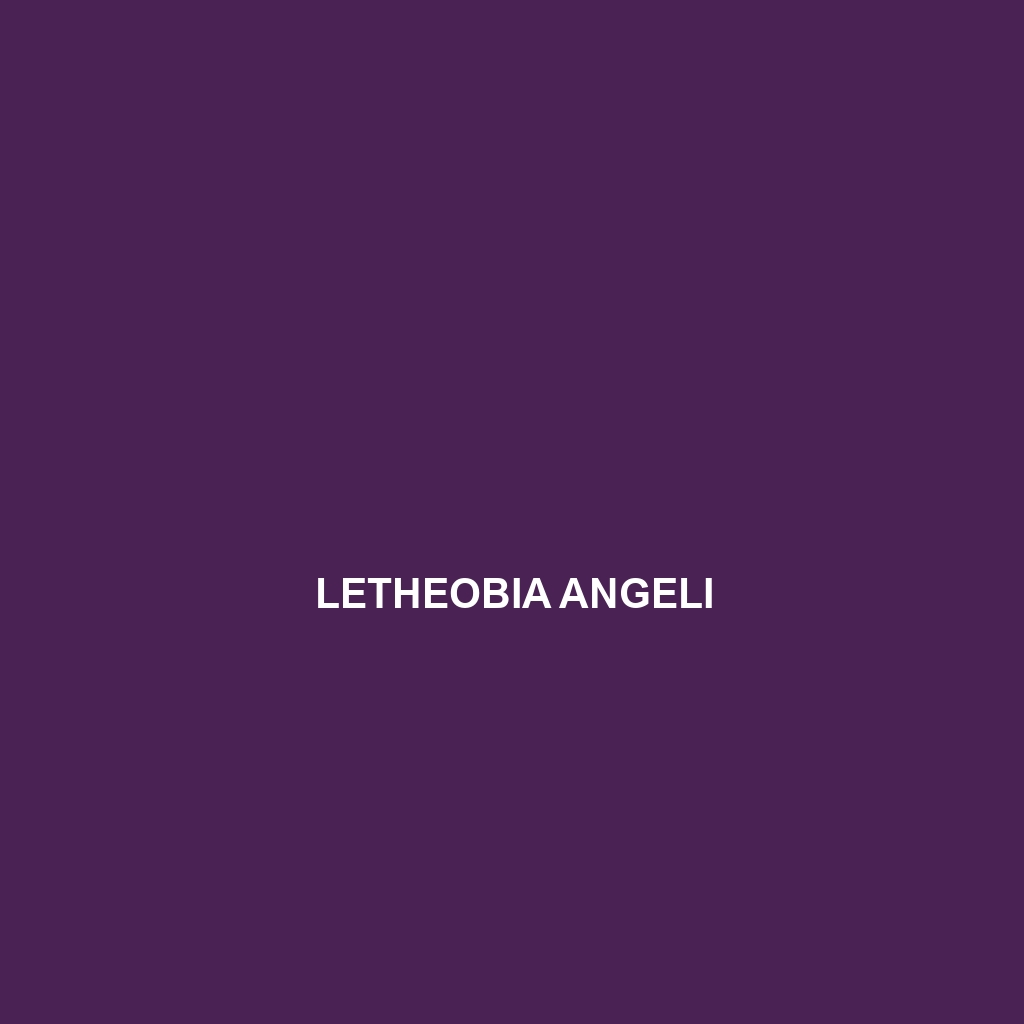 Letheobia angeli