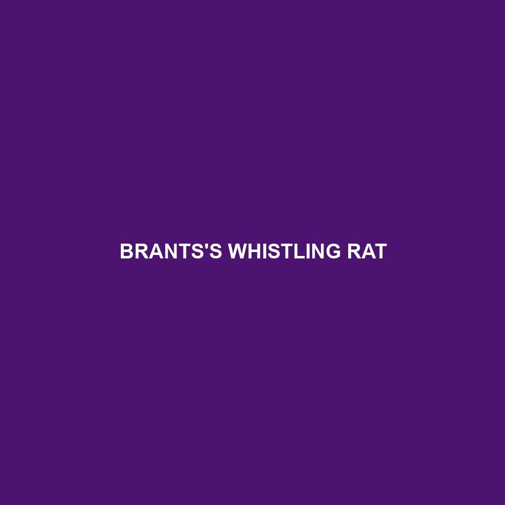 Brants's Whistling Rat