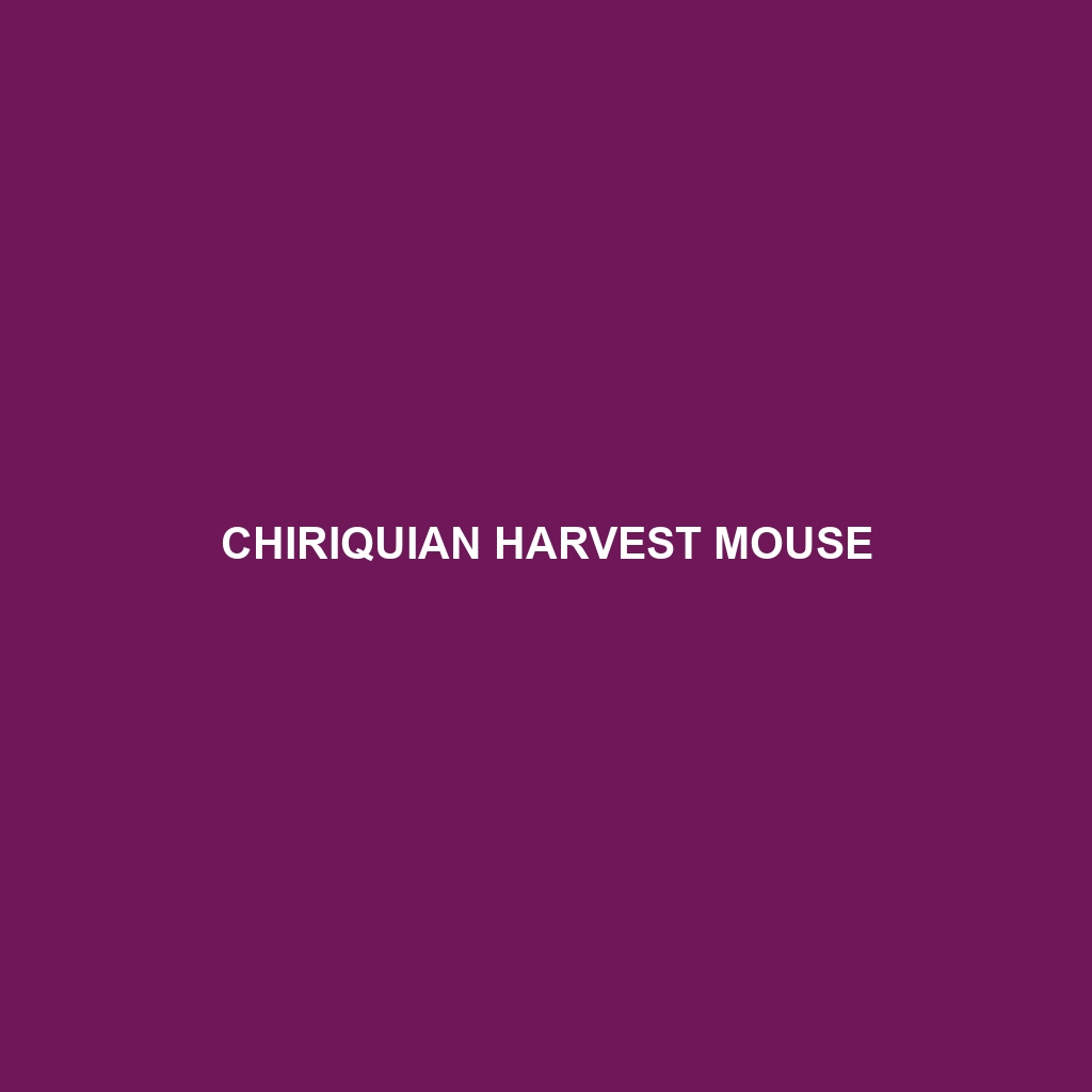 Chiriquian Harvest Mouse