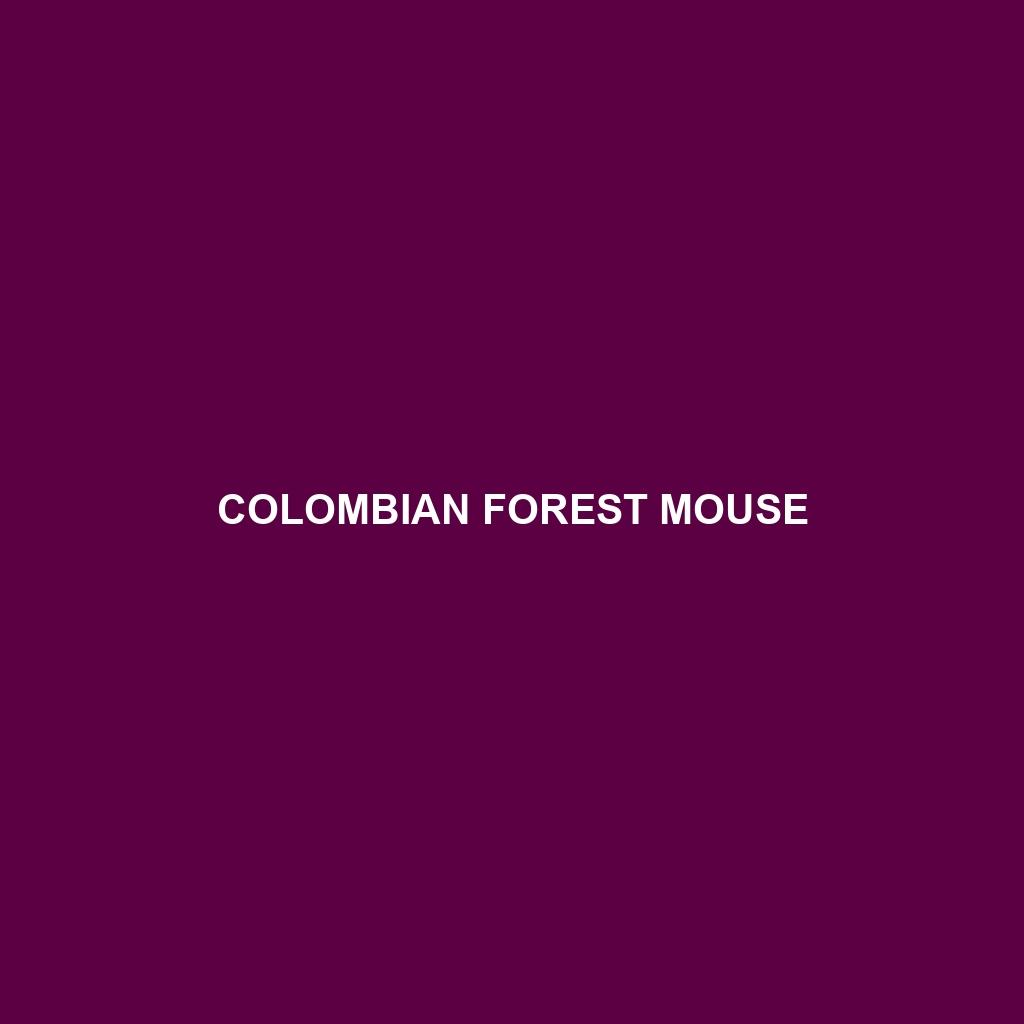 Colombian Forest Mouse