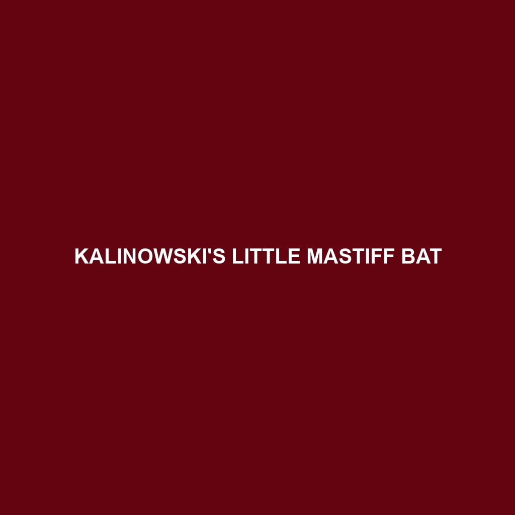 Kalinowski's Little Mastiff Bat