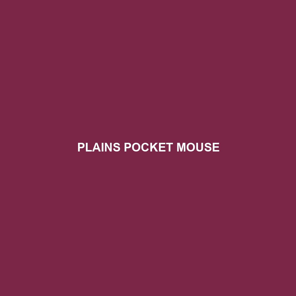 Plains Pocket Mouse