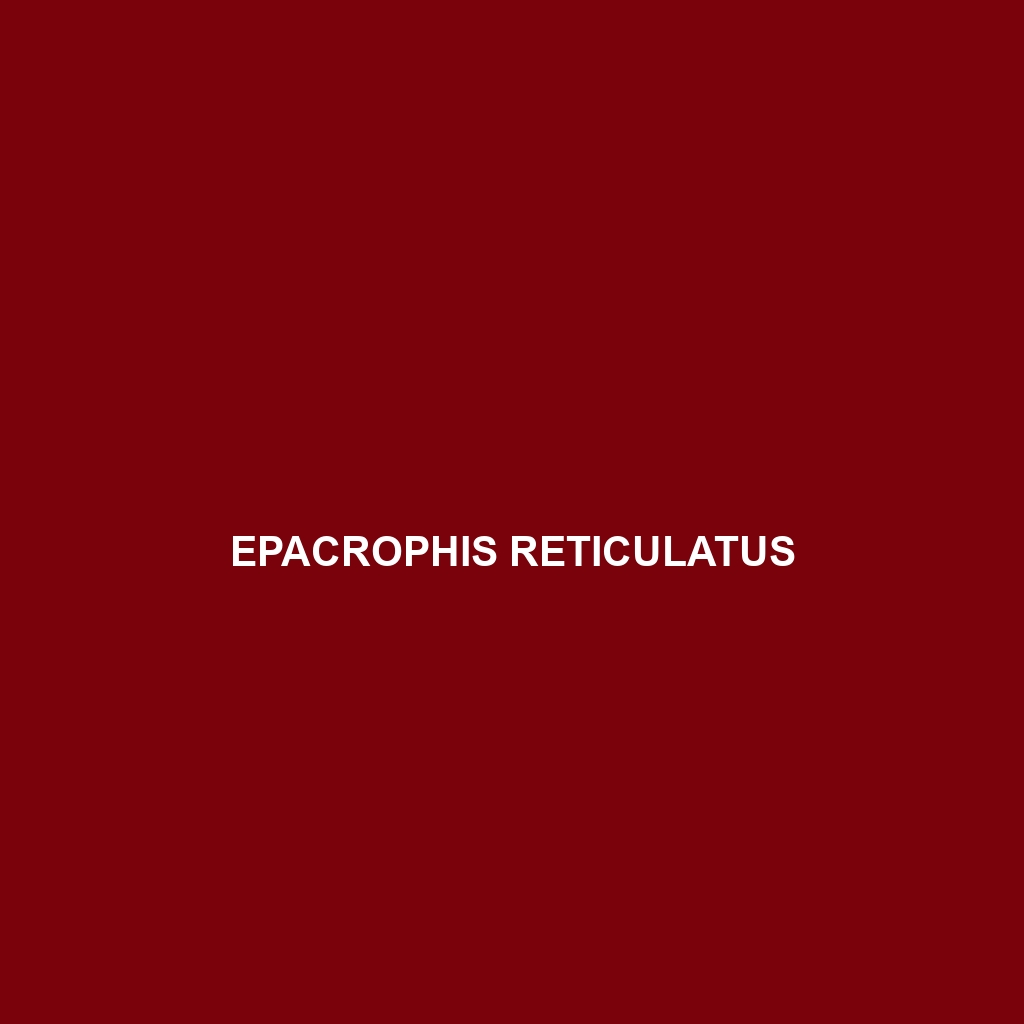 Epacrophis reticulatus