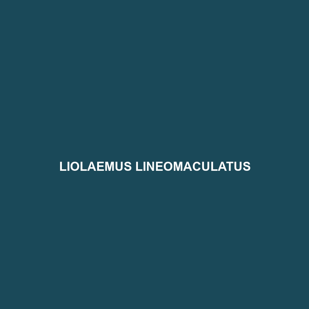 Liolaemus lineomaculatus