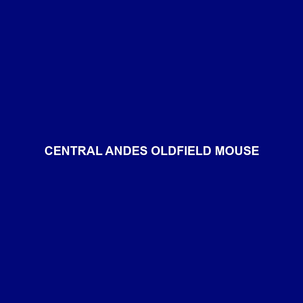 Central Andes Oldfield Mouse