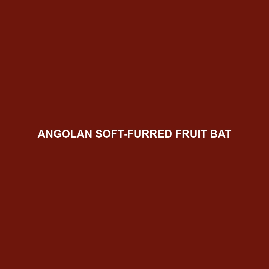 Angolan Soft-furred Fruit Bat