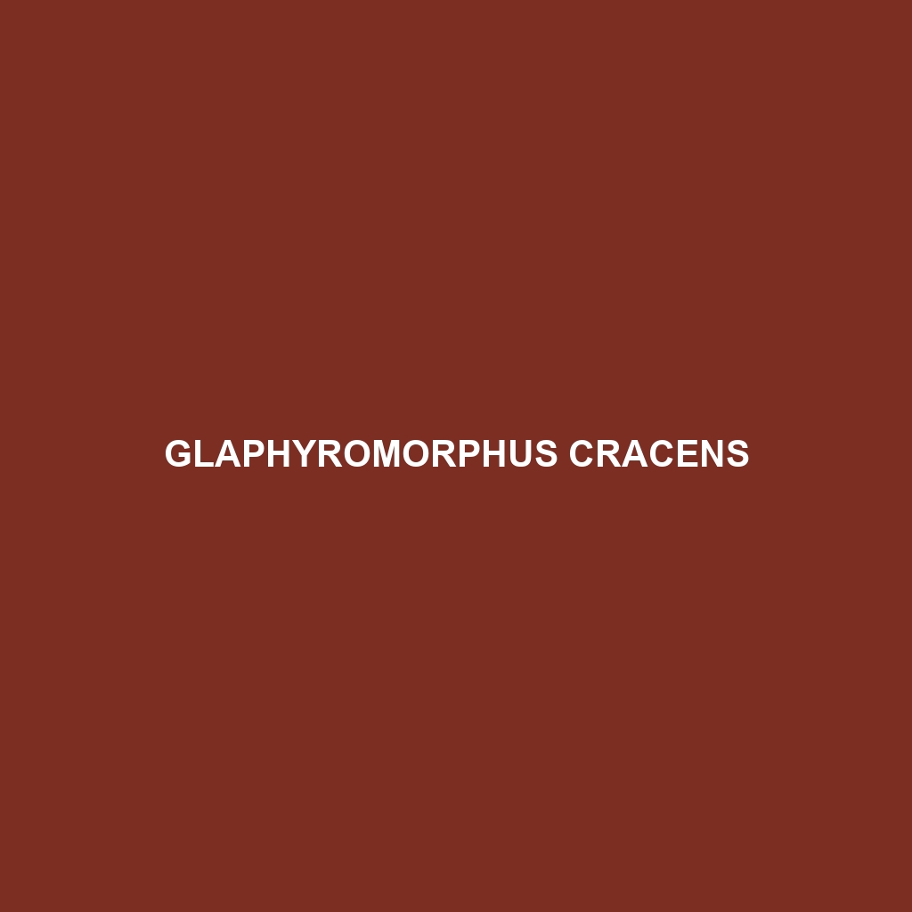 Glaphyromorphus cracens