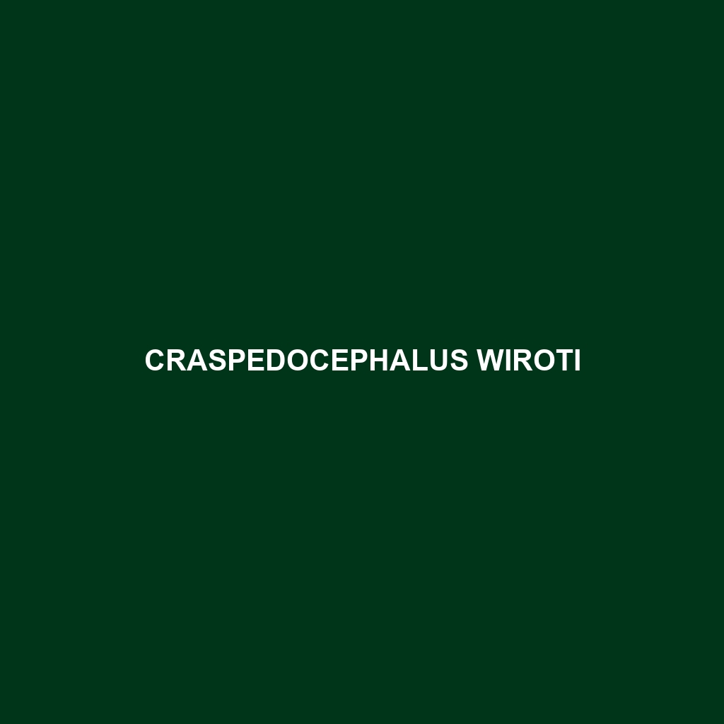 Craspedocephalus wiroti