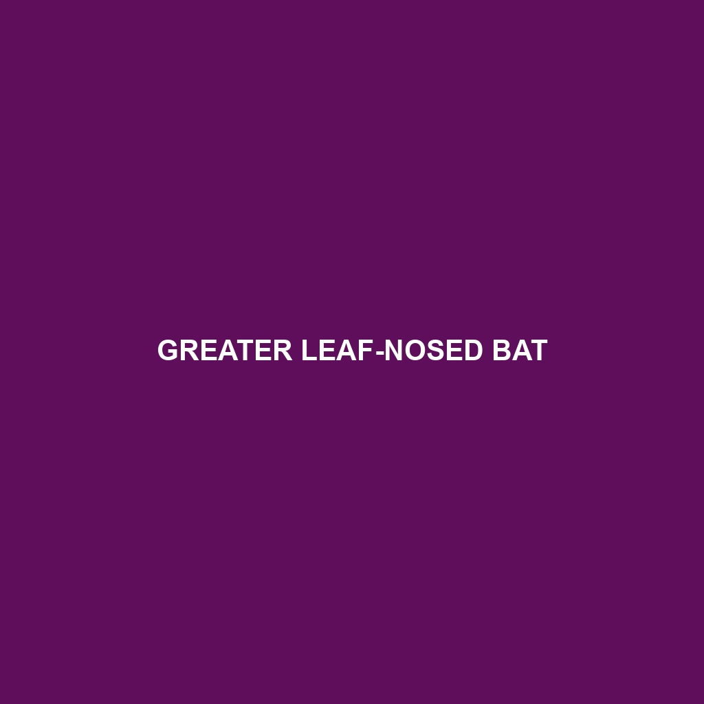 Greater Leaf-nosed Bat