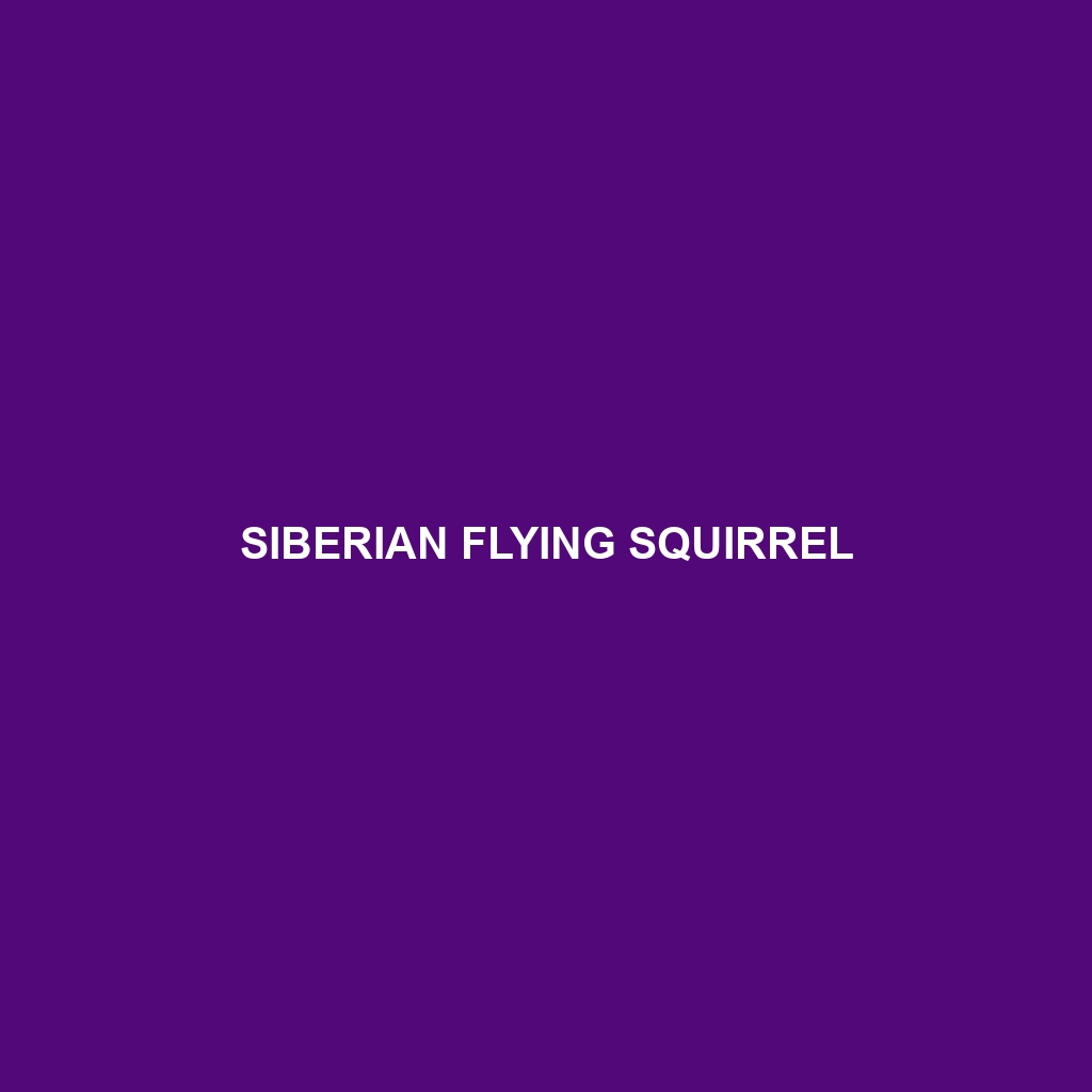 Siberian Flying Squirrel