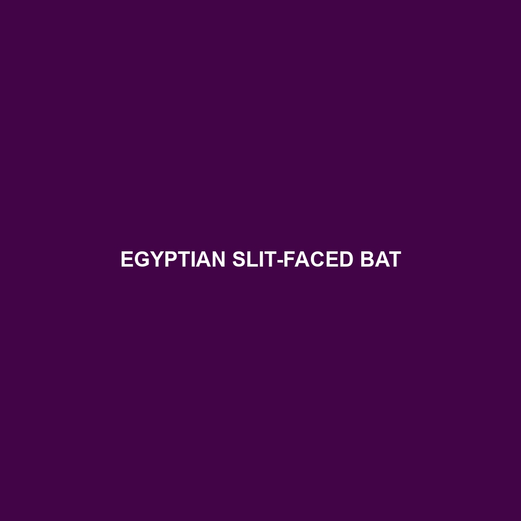 Egyptian Slit-faced Bat