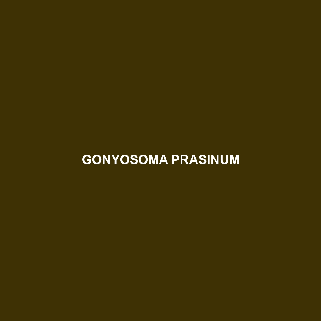 Gonyosoma prasinum