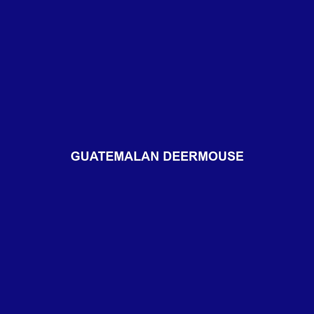 Guatemalan Deermouse