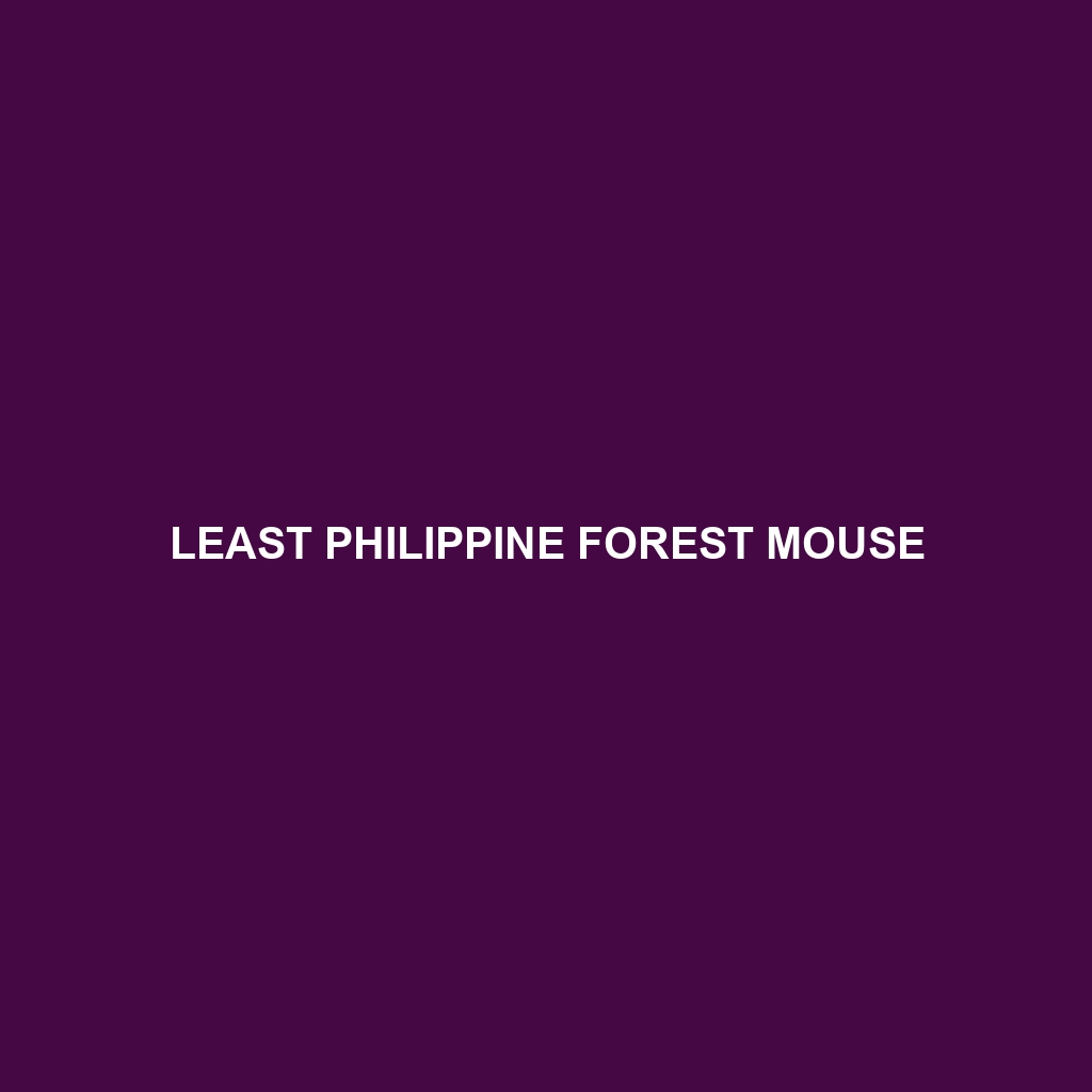 Long-nosed Luzon Forest Mouse