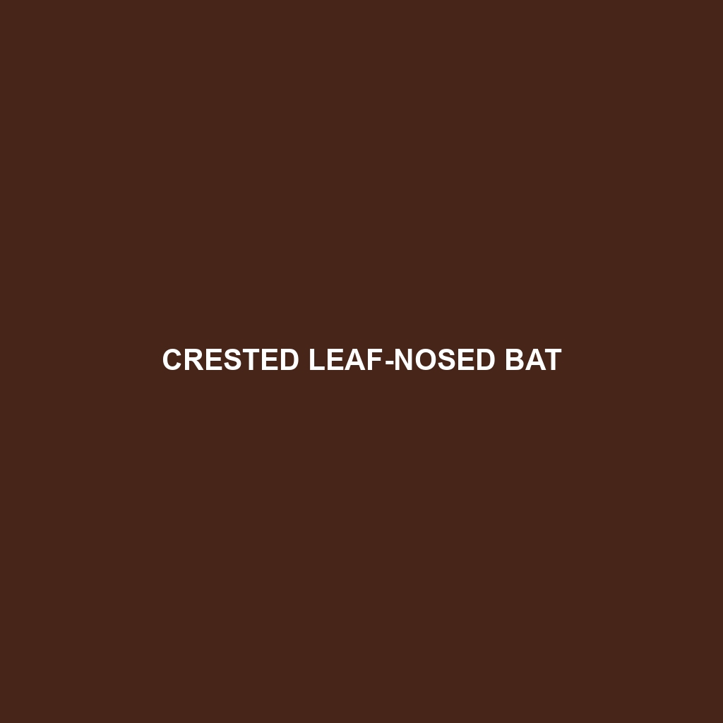 Crested Leaf-nosed Bat