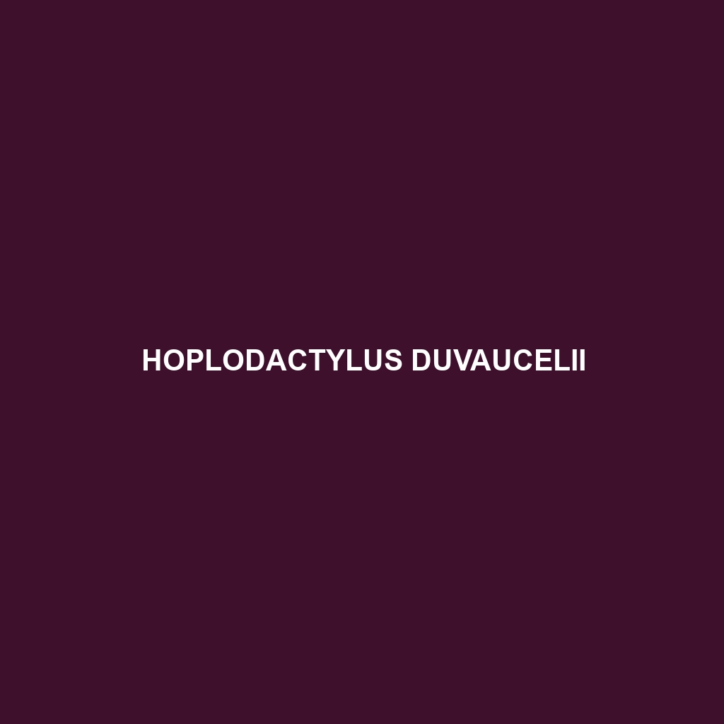 Hoplodactylus duvaucelii